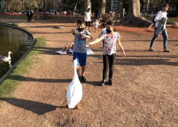 Green pass: obbligatorio da che età per i bambini?