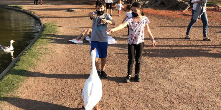 Green pass: obbligatorio da che età per i bambini?