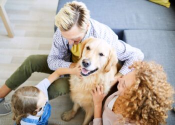 Benessere animale: i benefici dei prodotti naturali e biologici